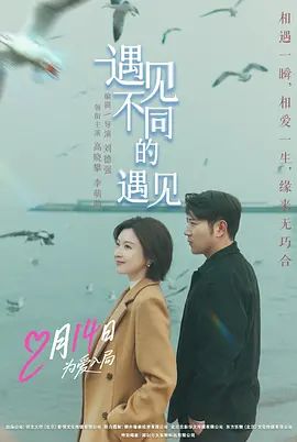 黑白配国语版免费播放