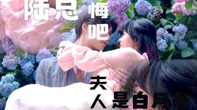 忘忧草视频网高清在线观看
